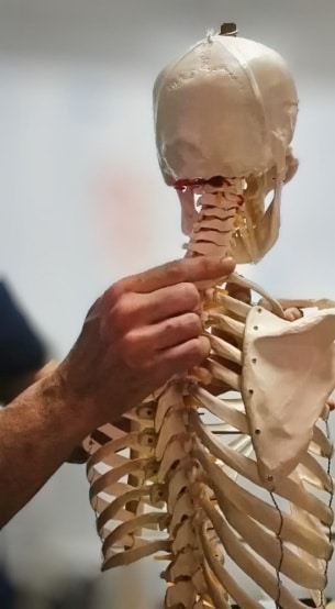 esqueleto
